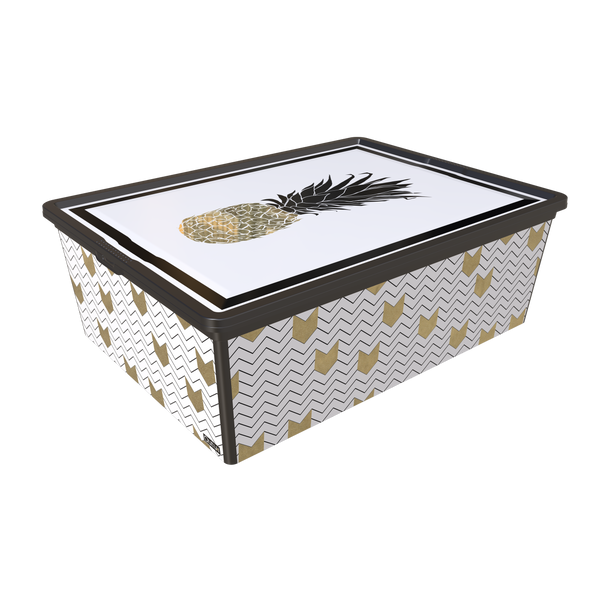 Контейнер Qutu Trend Box Pineapple Life, 25 л TREND BOX с/к PINEAPPLE LIFE 25л TREND BOX с/к PINEAPPLE LIFE 25л фото