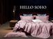 Комплект постільної білизни Soho Євро Boutique 200х230 см Butterfly Powder A130102 6993994 фото 1