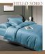 Комплект постільної білизни Soho Євро Boutique 200х230 см Dew Teal A130104 6993996 фото 1