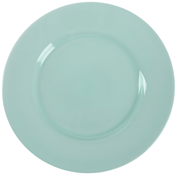 Тарелка обідня Luminarc Plumi Light Turquoise V9044 6997658 фото