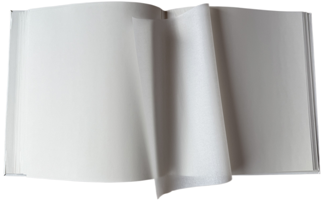 Фотоальбом EVG 20sheet T29x32 Sring Twig 7094197 фото