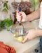 Миска Pyrex, 15 см (0.7 л) 178B000/8440 7092297 фото 5