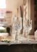 Набір келихів Cristal d`Arques Paris Longchamp, 6х250 мл L7550 6703335 фото 3